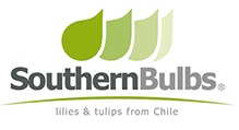 sothern-bulbs